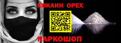 крисы Тулун
