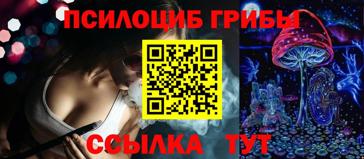 Галлюциногенные грибы Cubensis Архангельск