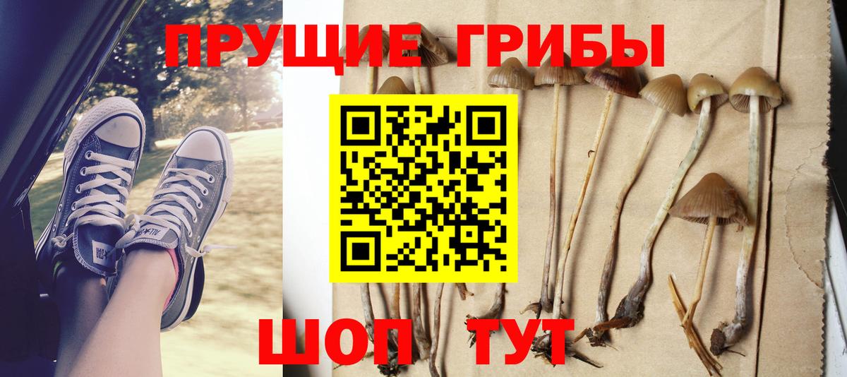 Галлюциногенные грибы прущие грибы  Вход с VPN  Галлюциногенные грибы Cubensis  Архангельск 